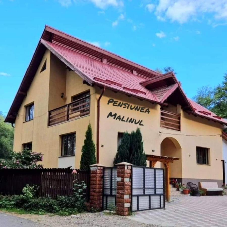 Pensiunea Malinul Birsana Luaran gambar
